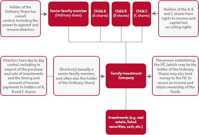 How a Family Investment Company operates